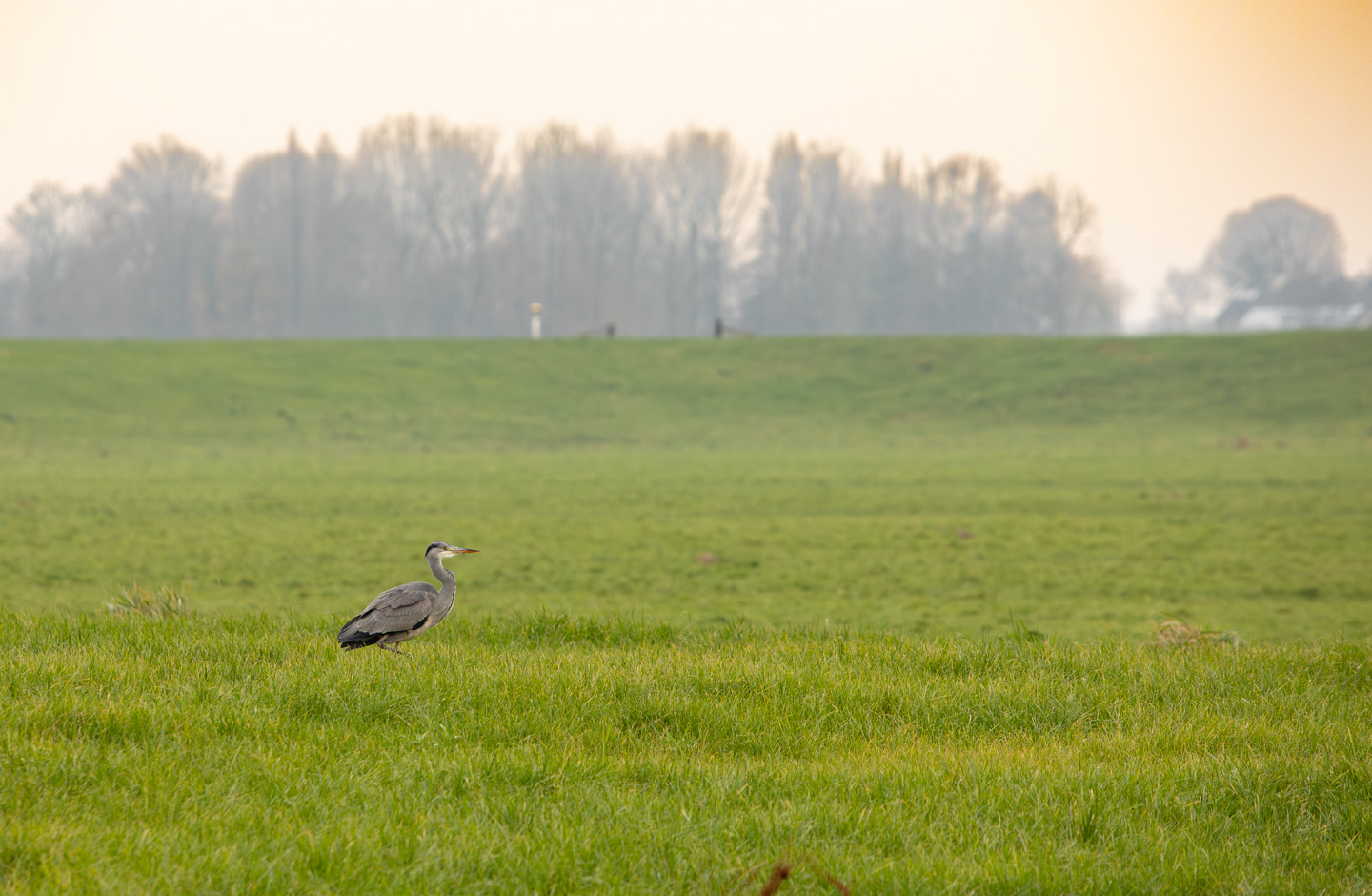 SCAN onderzoek landschap