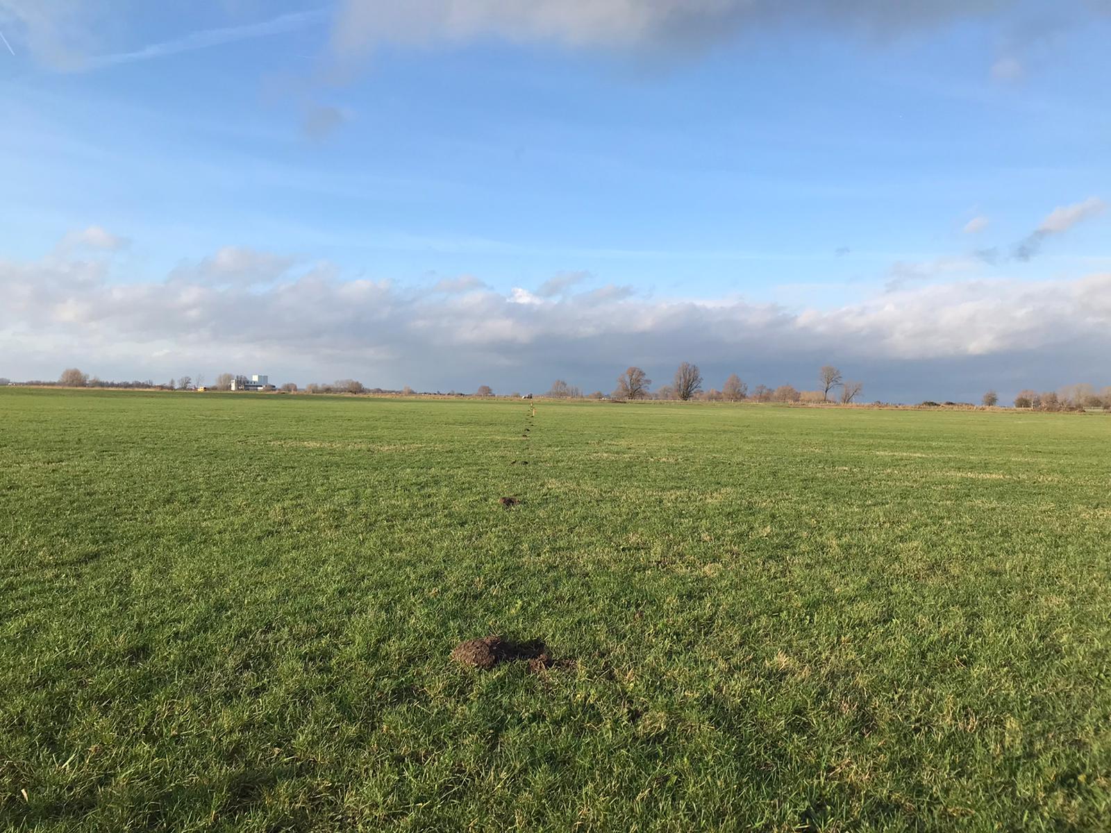 Aan het aardoppervlak, in ondiepe kuilen, worden grondmicrofoons geplaatst